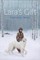 Lara's Gift