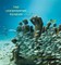Underwater Museum