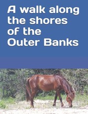 A walk along the shores of the Outer Banks