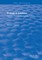 Ecology of Estuaries