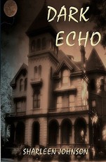 Dark Echo