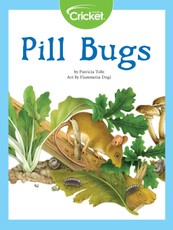 Pill Bugs