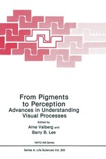 From Pigments to Perception: