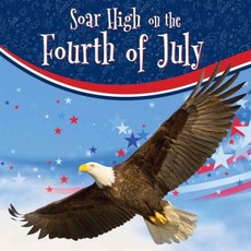 Soar High on the Fourth of July