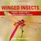Discovering Winged Insects - Animal Book Age 8 | Children's Animal Books