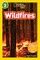 Wildfires