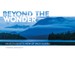 Beyond the Wonder