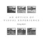 An Optics of Visual Experience