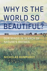 Why Is the World So Beautiful?