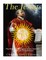 The Jesuits