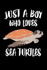 Just A Boy Who Loves Sea Turtles