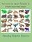 Terrestrial Land Animals 8
