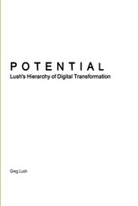 Potential Lush's Hierarchy of Digital Transformation