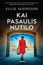 Knygos.lt blitz kaina