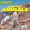 Mountain Animals