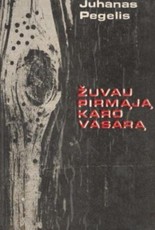 Žuvau pirmą karo vasarą