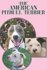 The American Pitbull Terrier