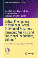 Critical Phenomena in Nonlinear Partial Differential Equations, Harmonic Analysis, and Functional Inequalities, Vol. 1