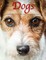Dogs