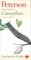 Peterson First Guide to Caterpillars of North America