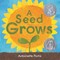 A Seed Grows