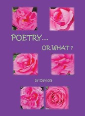 Poetry...or What?
