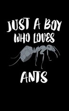 Just A Boy Who Loves Ants