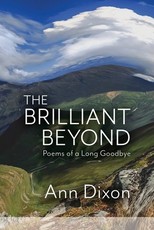 The Brilliant Beyond