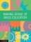 Making Sense of Mass Education