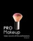 Pro Makeup. Salon Secrets of the Professionals