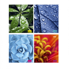 Sąsiuvinis A5, langeliais, 96 lapai