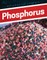 Phosphorus