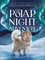 The Polar Night Adventure