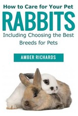 How to Care for Your Pet Rabbits