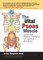 The Vital Psoas Muscle