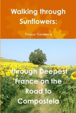 Walking through Sunflowers