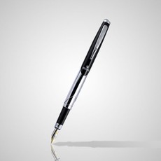 Parkeris REGAL sidabrinis su juodos spalvos detalėmis