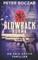 Blowback Burma