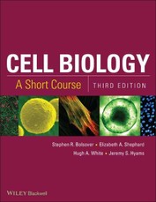 Cell Biology