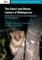 Dwarf and Mouse Lemurs of Madagascar
