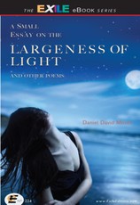 Small Essay on the Largeness of Light and Other Poems