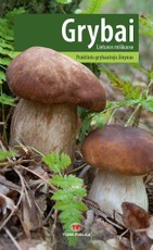 Grybai Lietuvos miškuose: praktinis grybautojo žinynas