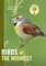 Birds of the Midwest
