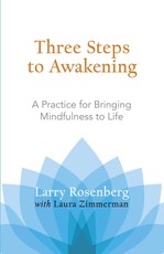 Three Steps to Awakening