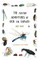 The Further Adventures of Erig the Earwig