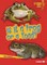 Is It a Frog or a Toad?