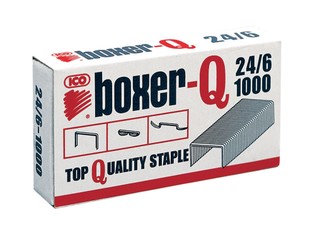 Sąsagėlės 24/6 Boxer Ico