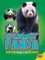 Giant Panda