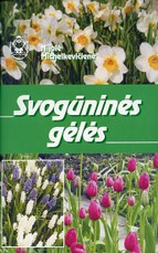 Svogūninės gėlės