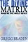 The Divine Matrix